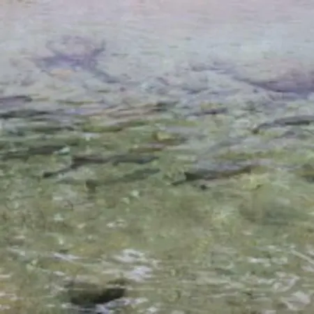 Dom wakacyjny La Casetta Nel Cuore Del Parco *